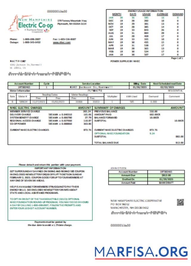 Realistic New Hampshire Electric Co op electricity utility business bill, SCR real example